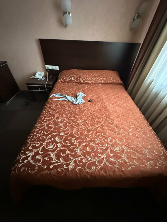 Гостиница Метелица Сургут-156